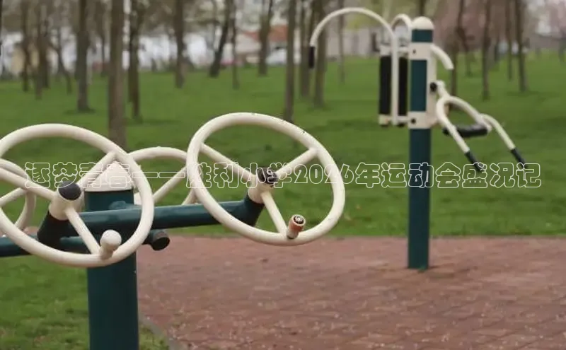 球速体育网站