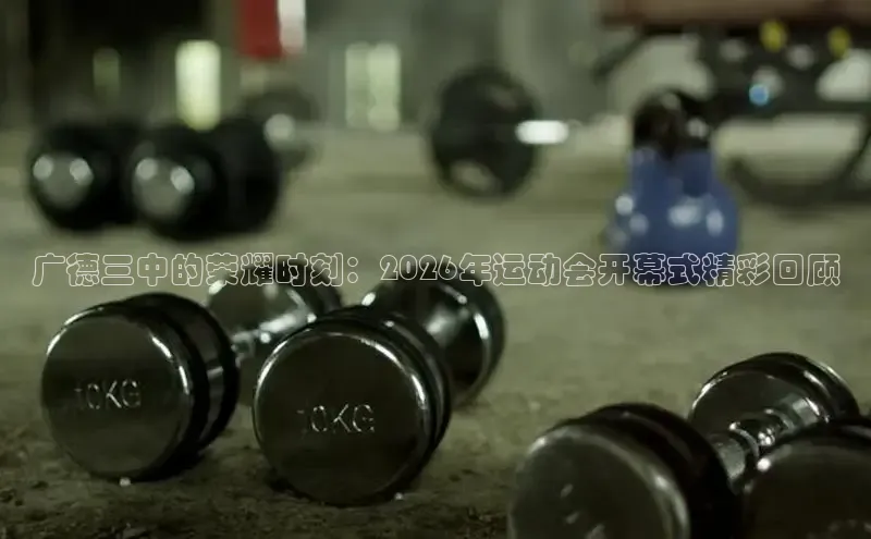 球速体育比分