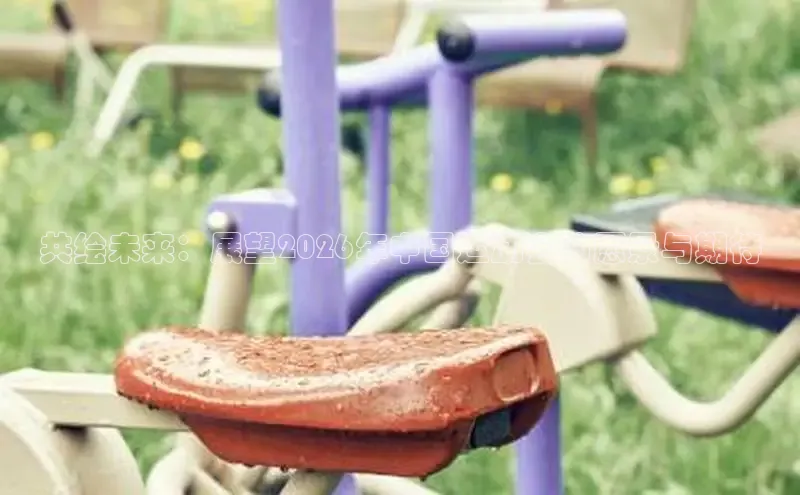 球速体育平台